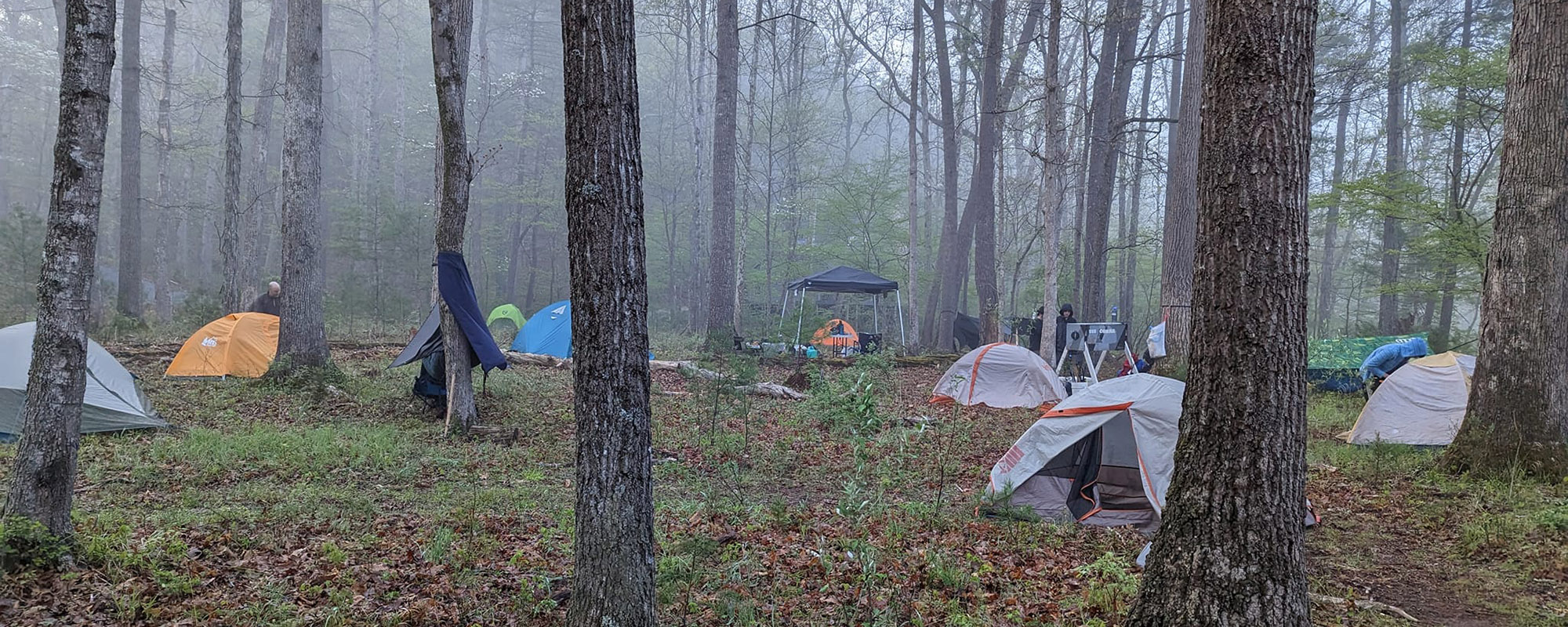 A foggy morning at the campsite on Santos Farm