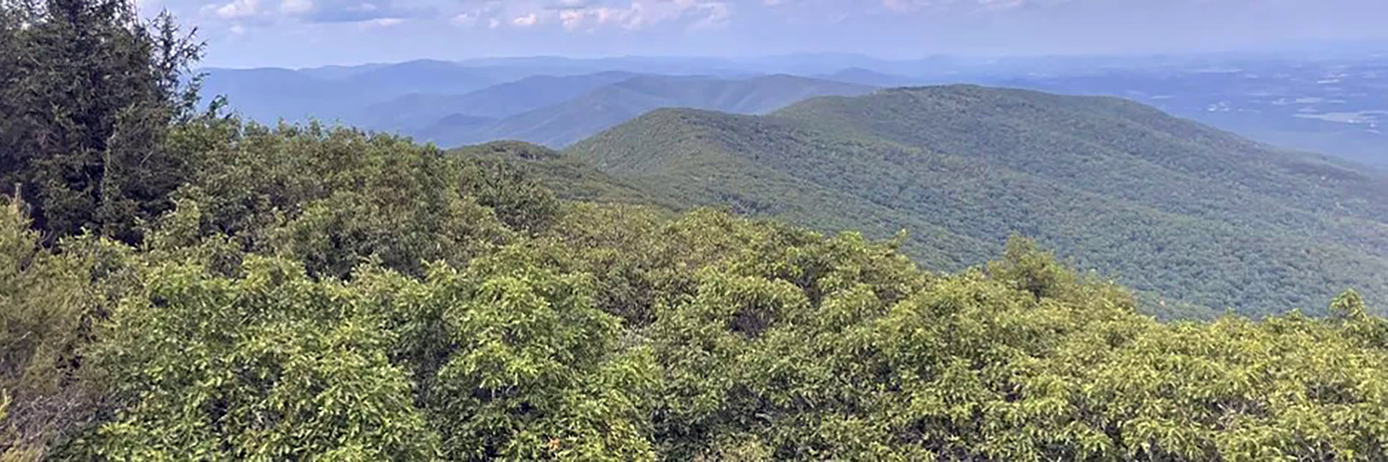 View from Elliott Knob